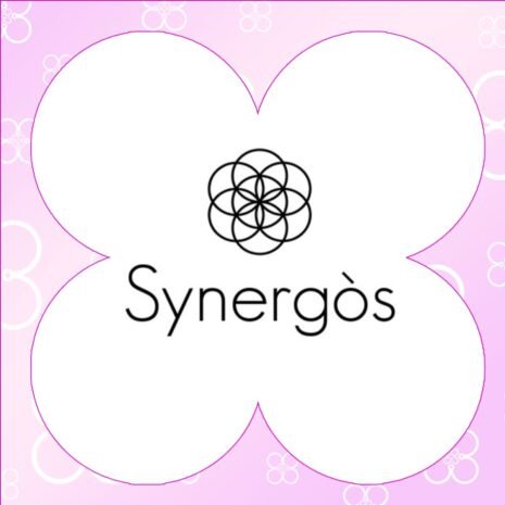 Logo-Synargos Logo di Synergos