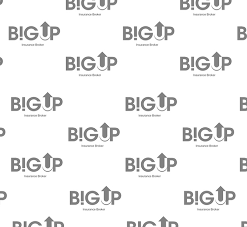 Copertina_BIG_UP_Insurance-Broker_800x730