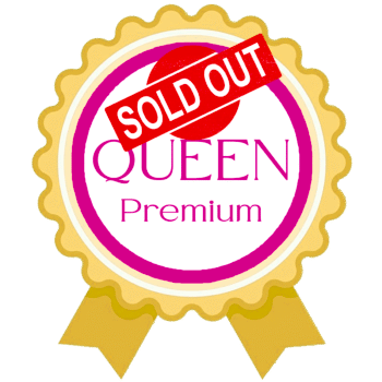 Sold OUT QUEEN Premium